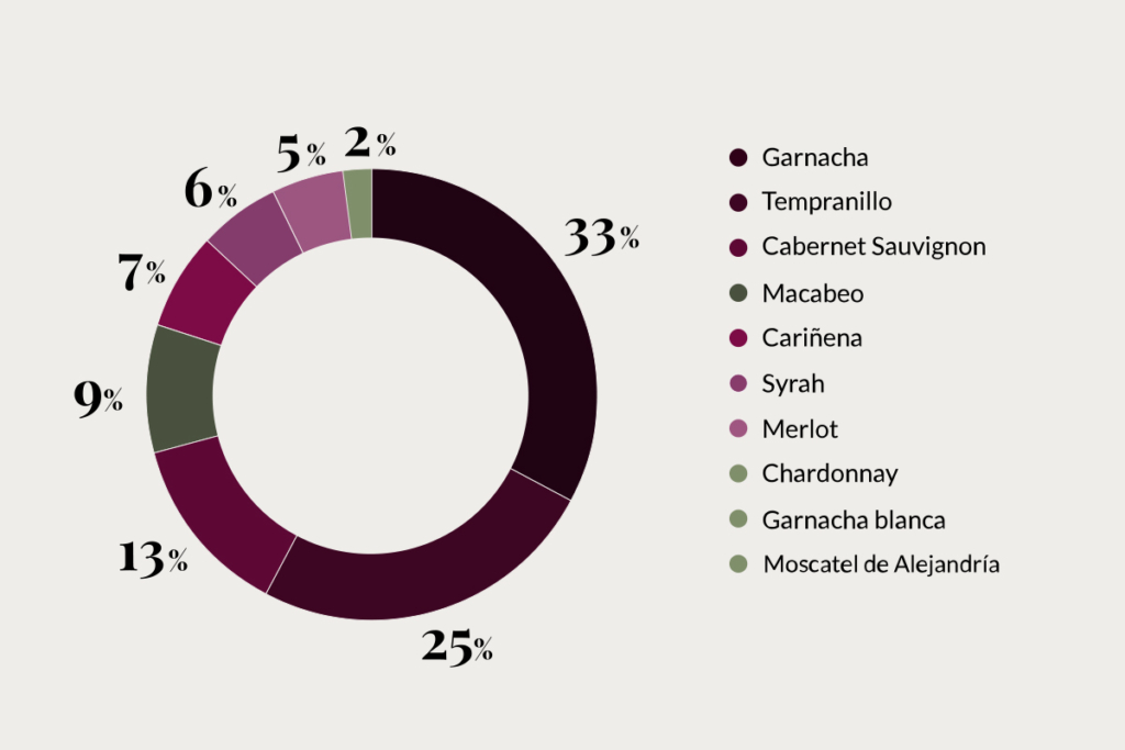 What is the Garnacha grape?